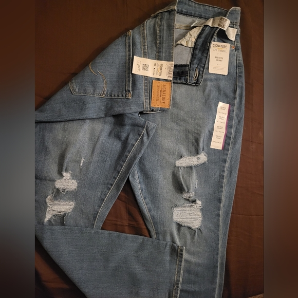 Levi - Picture 4 of 11